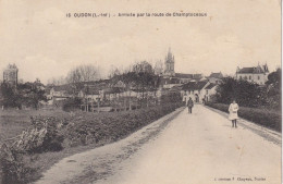 CPA OUDON  44 - Arrivée Par La Route De Champtoceaux - Oudon