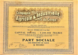 Compagnie Agricole Et Industrielle Du Congo - Kitomesa Lufu  - Part Sociale  (1935) - Africa