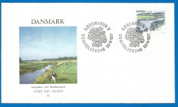 Denmark FDC Used Cover 1977 Year - FDC