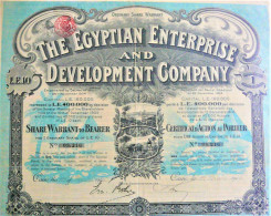 The Egyptian Enterprise And Development Company (1906) Cairo (Deco !) - Agricultura