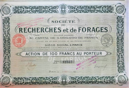 Societe De Recherche Et De Forages - Paris - 1917 - Action De 100 Francs - Landwirtschaft