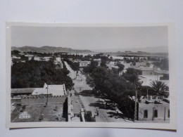 BISKRA  Vue D'ensemble Et La Grande Avenue - Biskra