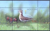 2015. Moldova, Birds Of Moldova, S/s, Mint/** - Moldawien (Moldau)