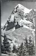 Hôtel Jungfrau Wengernalp Mit Eiger/ Photo Gyger Adelboden - Wengen