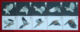 BIRDS OF PREY IN FLIGHT BARN OWL KESTREL (Mi 2070-2079) 2003 POSTFRIS MNH ** ENGLAND GRANDE-BRETAGNE GB GREAT BRITAIN - Unused Stamps