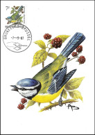 CM/MK° - Mésange Bleue / Pimpelmees / Blaumeise / Blue Tit / Cyanistes Caeruleus - BXL-BSL - 07-09-1987 - BUZIN - RRRRRR - 1985-.. Oiseaux (Buzin)