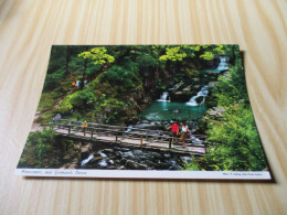 Watermeet, Near Lynmouth (Royaume-Uni).Carte Animée. - Lynmouth & Lynton