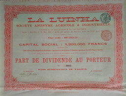 La Luinha - S.A. Agricole Et Industrielle - 1905 - Bruxelles - Part De Dividende - Landwirtschaft