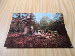 Le Bois De Chaville (92).Les Dolmens. - Chaville