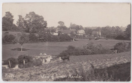 View Of Lower Haselor Photo Postcard - Other & Unclassified