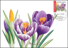 CM/MK° - 3142 - Crocus / Krokus - BXL-BSL - 04/11/2002 - BUZIN - 1985-.. Vogels (Buzin)