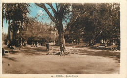 Algérie - Biskra - Jardin Public - Animée - Colorisée - Etat Découpée Sur La Gauche - CPA - Voir Scans Recto-Verso - Biskra