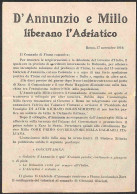 P.Aerea/Aerogrammi - D'Annunzio E Millo Liberano L'Adriatico - Roma 17 Novembre 1919 - Volantino (17x24) Lanciato Da "Ae - Autres & Non Classés