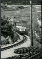 Edit. BVA Carte Moderne - En Dessus Du Dépôt D'Aigle - Train à Travers Les Vignes - Phot. Rochaix - Aigle