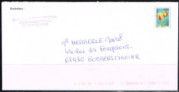 L-DIV 97 - FRANCE Entier Postal Tulipes De Cristallerie Vallerysthal - PAP : Su Commissione Privata TSC E Sovrastampe Semi-ufficiali