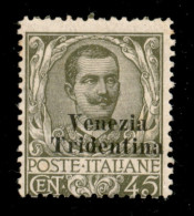 Occupazioni I Guerra Mondiale - Trentino-Alto Adige - 1918 - 45 Cent Floreale (25) - Gomma Integra (650) - Otros & Sin Clasificación