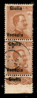 Occupazioni I Guerra Mondiale - Venezia Giulia - 1918 - Coppia Del 20 Cent Michetti (23d + 23db) Con Soprastampa Spostat - Andere & Zonder Classificatie