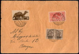 Colonie - Africa Orientale Italiana - Ufficio Posta Militare 130/E - Coppia Del 7 1/2 Cent (116 Somalia) + 10 Cent (205  - Sonstige & Ohne Zuordnung