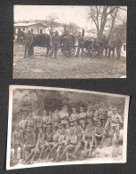 EUROPA - AUSTRIA - 1915/1917 - Posta Militare Austriaca - Otto Cartoline Fotografiche (con Scene Militari) Usate Nel Per - Other & Unclassified