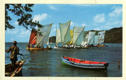 16126 / LE MARIN La Martinique Course Yoles Rondes En Baie Racing Boats Harbour 1975s-Photo FELIX ROSE ROSETTE 122 - Le Marin