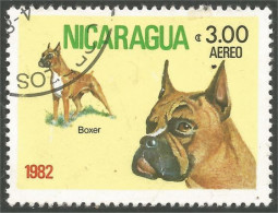 684 Nicaragua Boxer (NIC-377) - Honden