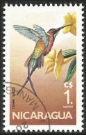 684 Nicaragua Colibri Oiseau-mouche Hummingbird (NIC-347) - Segler & Kolibris