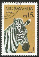 684 Nicaragua Zebre Zebra (NIC-350a) - Other & Unclassified