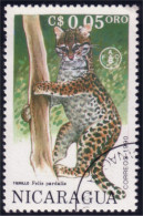 684 Nicaragua Jaguar Cougar Couguar (NIC-330) - Big Cats (cats Of Prey)