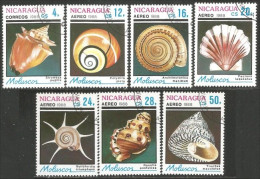 684 Nicaragua Coquillages Shells Schaltier Mariscos Moluscos (NIC-337) - Muscheln