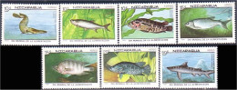 684 Nicaragua Poissons Requin Fish Fishes Fische Shark MNH ** Neuf SC (NIC-65b) - Fishes