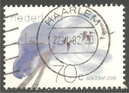 670 Netherlands 1982 Barnacle Geese Oies Bernaches (NET-80b) - Usados