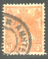 670 Netherlands Queen Wilhelmina 1898 3c Orange (NET-55) - Gebruikt