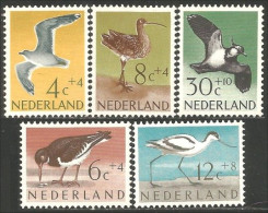 670 Netherlands Gull Mouette Avocet Lapwing Curlew Avocette Lightly MH * Neuf (NET-30) - Other & Unclassified