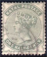 660 Natal One Half-penny 1884 (NAT-2) - Natal (1857-1909)