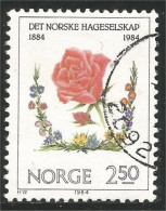 690 Norway Horticulture Fleur Flower Blume (NOR-371b) - Autres & Non Classés