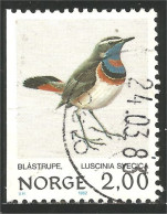 690 Norway Oiseau Bird Vogel Uccello Blue-throat (NOR-354b) - Other & Unclassified