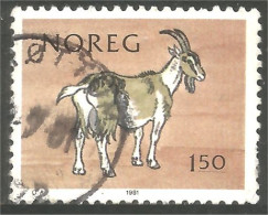 690 Norway Chévre Goat Ziege Cabri Capri (NOR-345e) - Other & Unclassified