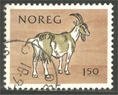 690 Norway Chévre Goat Ziege Cabri Capri (NOR-345b) - Agriculture