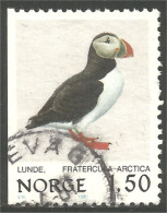 690 Norway Oiseau Bird Vogel Uccello Guillemot (NOR-343b) - Other & Unclassified