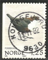 690 Norway Oiseau Birds Vogel Uccello Great Tit (NOR-326b) - Other & Unclassified