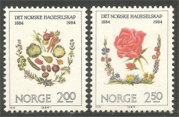 690 Norway Epices Spices Horticulture MNH ** Neuf SC (NOR-296) - Ongebruikt