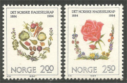 690 Norway Epices Spices Horticulture MNH ** Neuf SC (NOR-296) - Ungebraucht