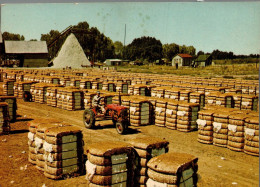 N°42251 Z -cpa Mississipi - Sales Of Cotton -tracteur - Tracteurs