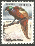 684 Nicaragua Faisan Pheasant Fasiano Fasan (NIC-482) - Galline & Gallinaceo