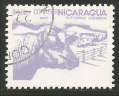 684 Nicaragua Vache Cow Vaca Kuh Koe Mucca Vacca Boeuf Beef Ox (NIC-479) - Vacas