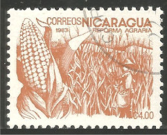 684 Nicaragua Mais Corn Mai Maize Maïs (NIC-478a) - Agriculture