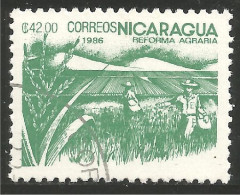 684 Nicaragua Riz Rice Paddy Arroz Reis Rijst Riso (NIC-477b) - Alimentation