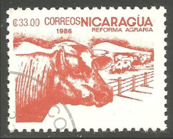 684 Nicaragua Vache Cow Vaca Kuh Koe Mucca Vacca Boeuf Beef O (NIC-476) - Vaches