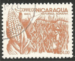 684 Nicaragua Mais Corn Mai Maize Maïs (NIC-478b) - Levensmiddelen