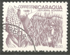 684 Nicaragua Mais Corn Mai Maize Maïs (NIC-474) - Agriculture